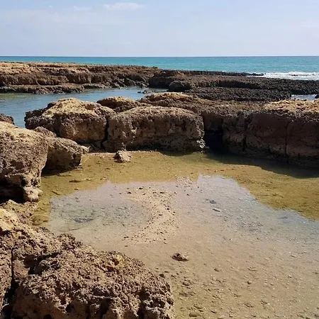 아파트 Sea View *